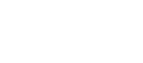 Colt Consulting Logo